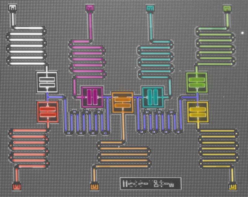 Beyond quantum supremacy: the hunt for useful quantum computers