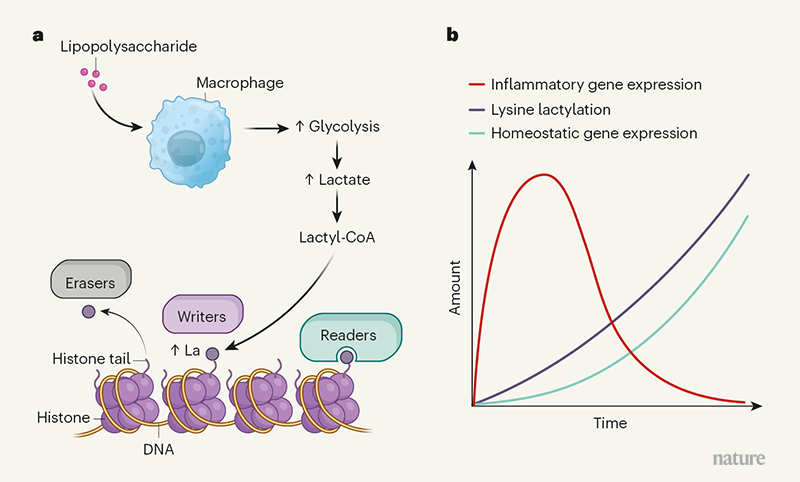 d41586-019-03122-1_17297230