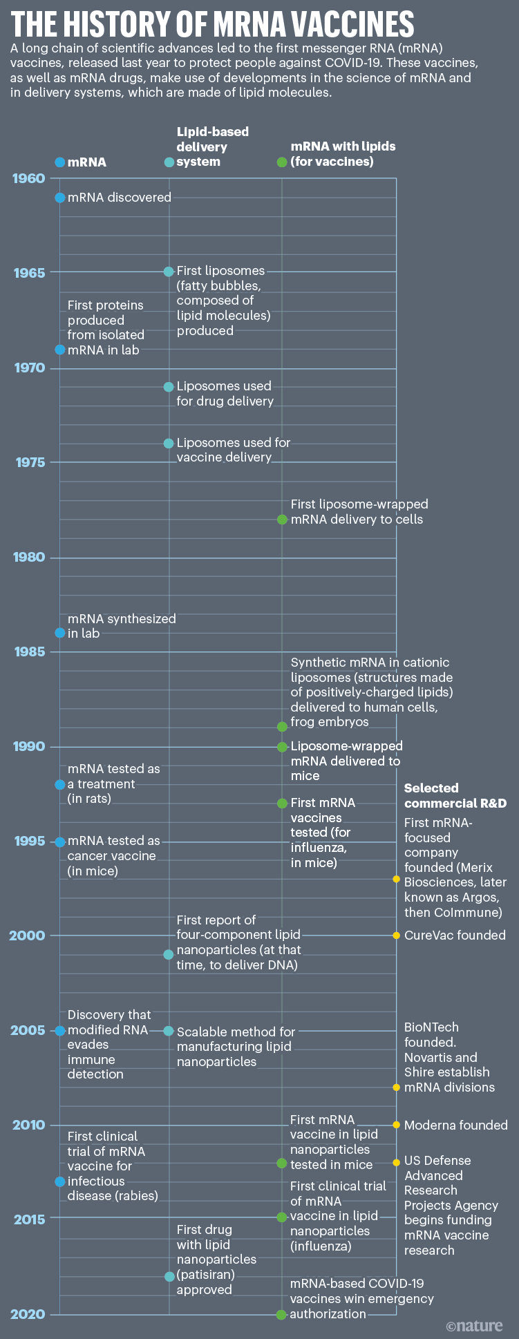 The tangled history of mRNA vaccines