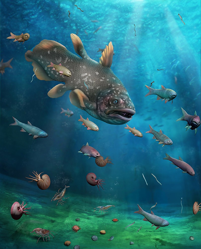 Storming the Beaches: Early Land Vertebrates
