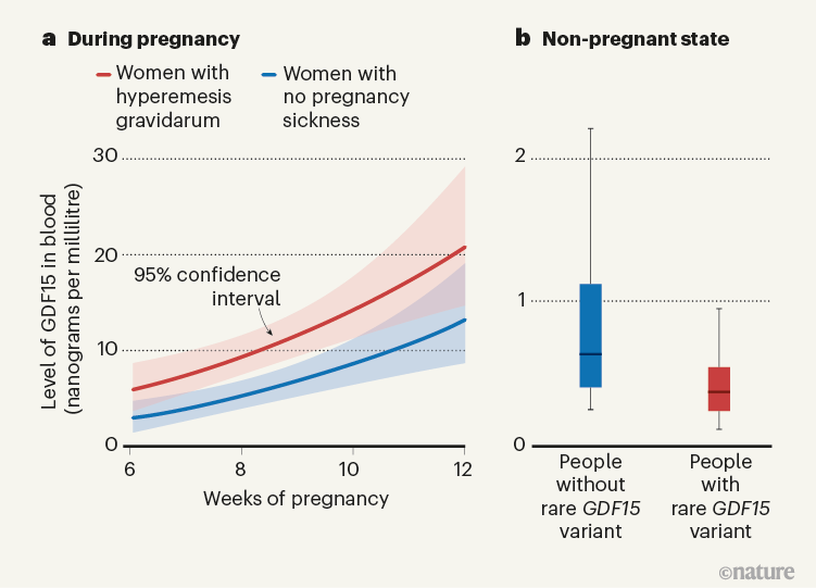 Nausea And Pregnancy Very Early Signs Of Pregnancy: Are You Expecting