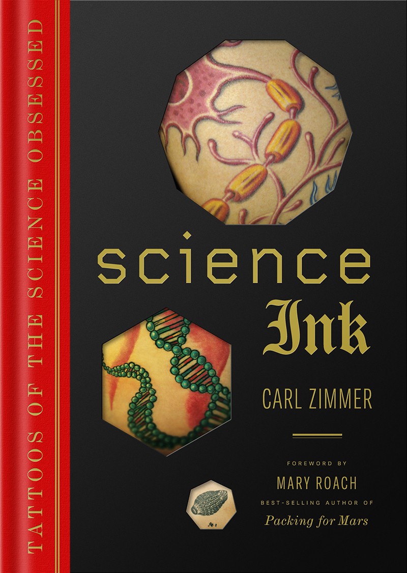 Science on our sleeves: the research that inspires our tattoos, image size:800x1125