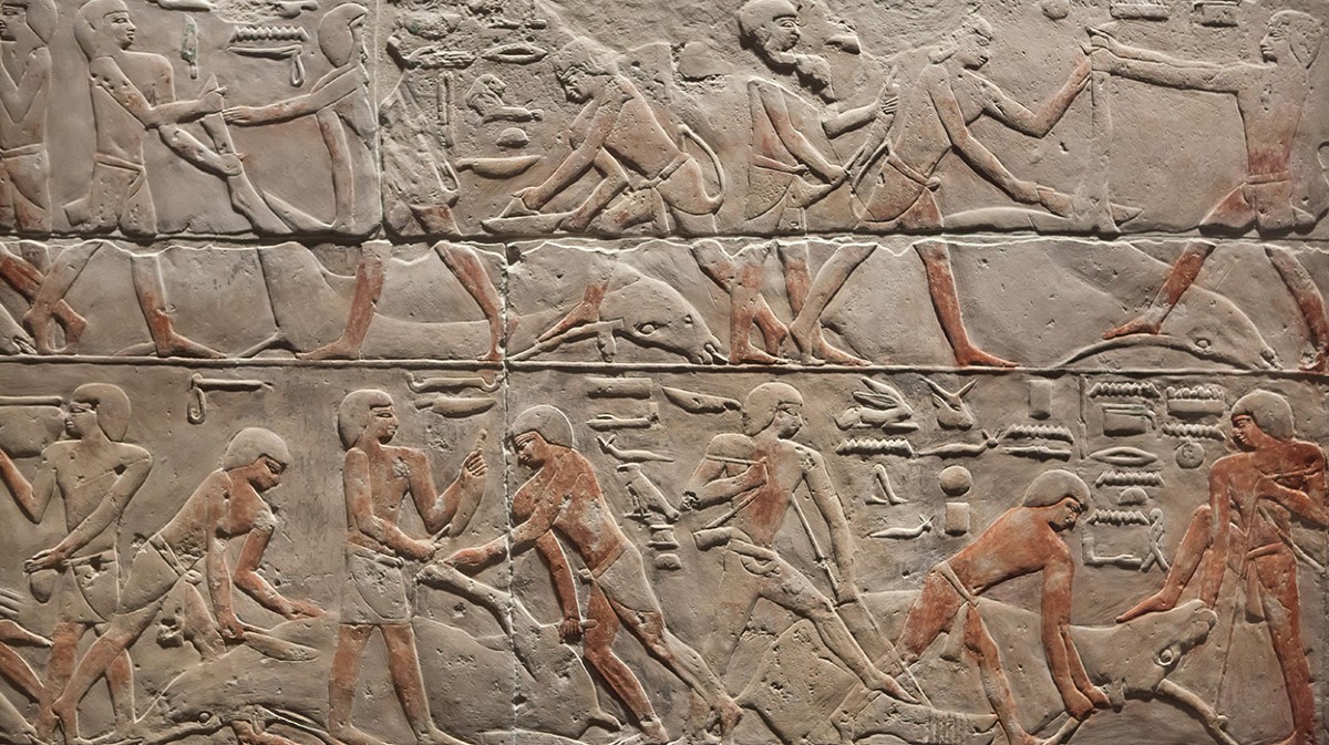 Daily briefing: The first full ancient Egyptian human genome