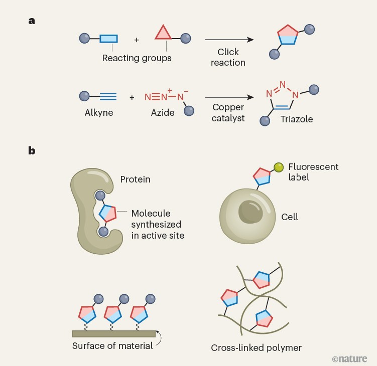 25 years of chemistry that simply clicks