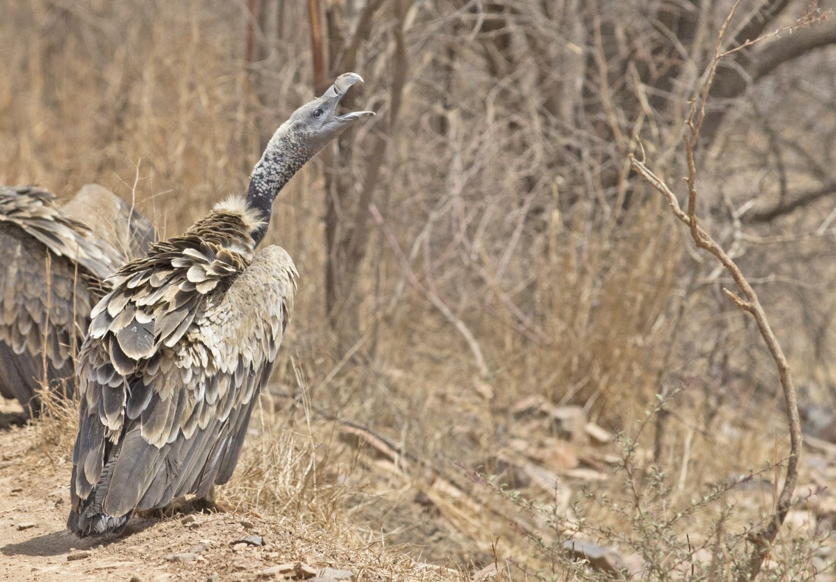 PaulaLucas (@paulalucas) | Cara - Artist Social \u0026 Portfolio Platform, image size:1200x836