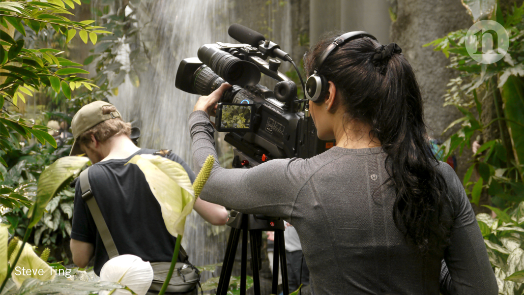 Put it on camera: How to get into scientific film- and video-making