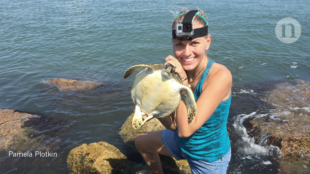 What I learnt pulling a straw out of a turtle's nose What I learnt pulling a straw out of a turtle's nose