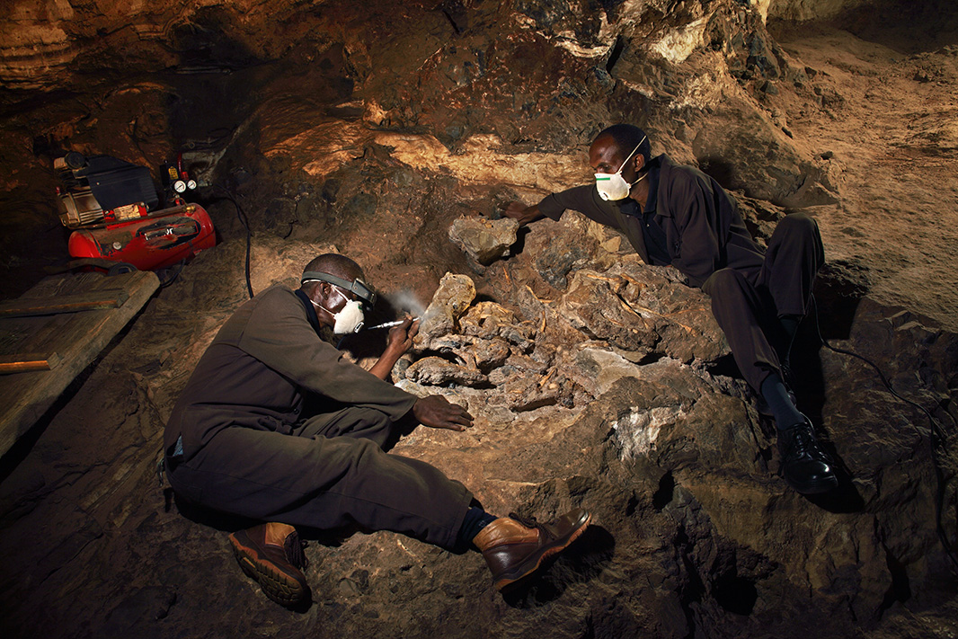 Little Foot' hominin emerges from stone after millions of years
