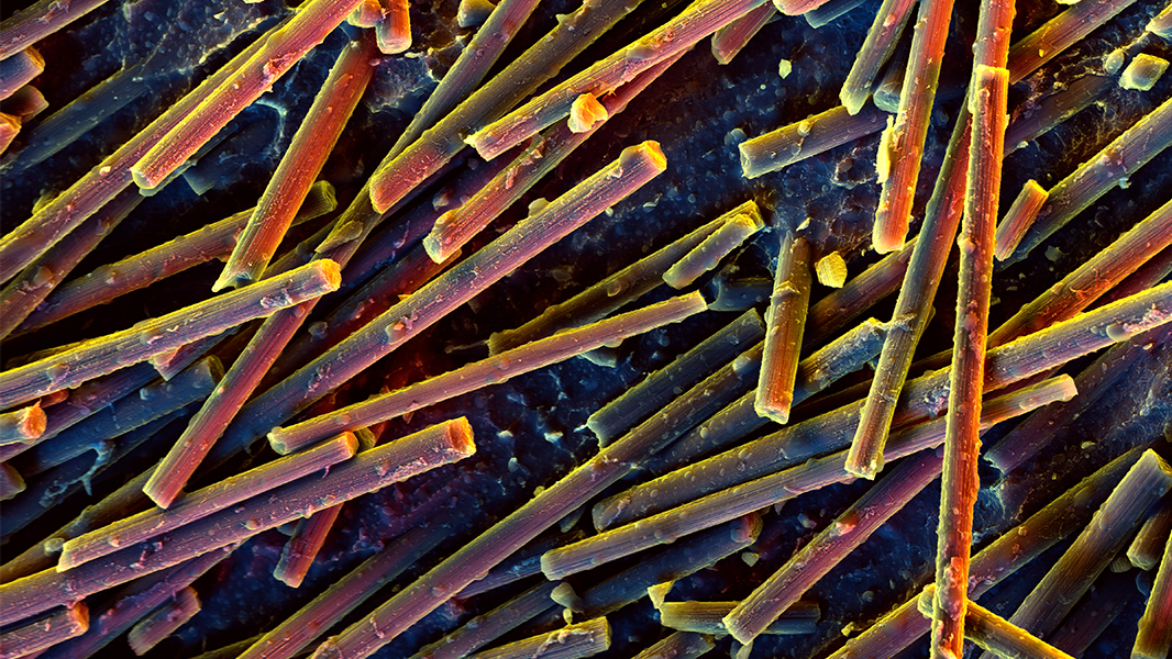 ik luister naar muziek Pracht Verhogen Biggest carbon-nanotube chip yet says 'Hello, World!'