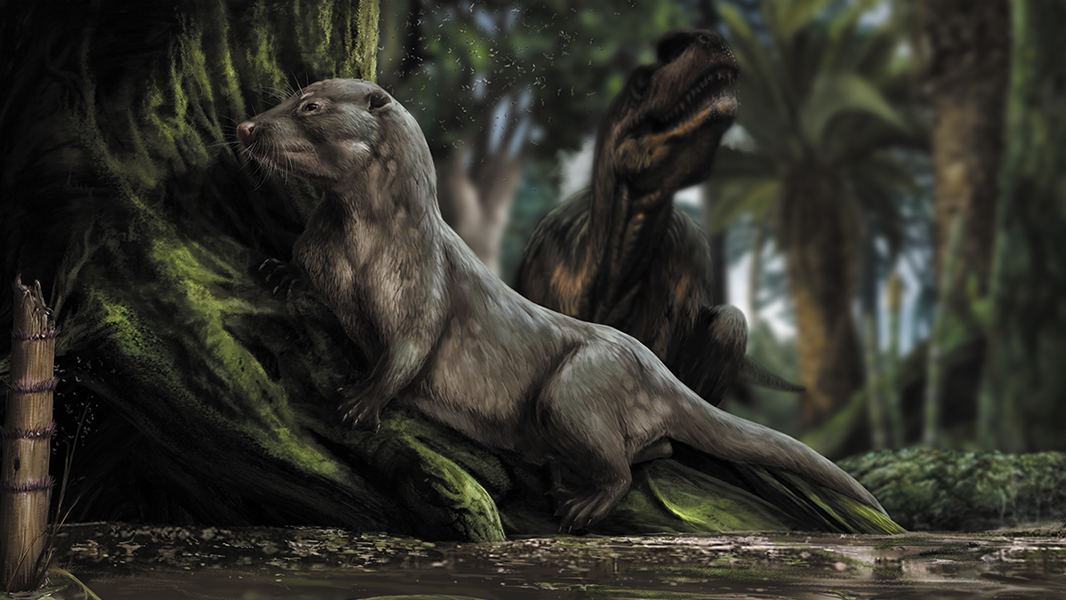 How the earliest mammals thrived alongside dinosaurs