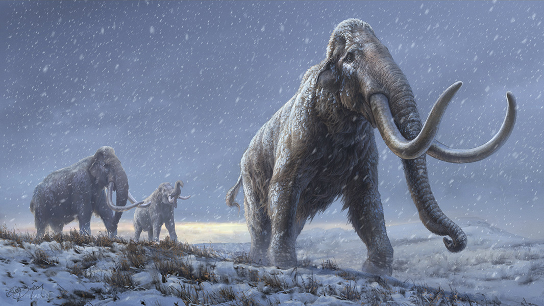 Million-year-old mammoth genomes shatter record for oldest ancient DNA