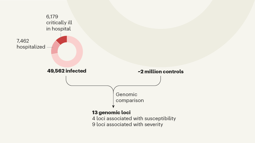 Mapping the human genetic architecture of COVID-19