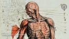 Sex, religion and a towering treatise on anatomy