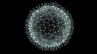 China coronavirus: how many papers have been published?