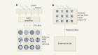 In-sensor computing for machine vision