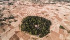 Get Africa’s Great Green Wall back on track