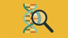 Technology alliance boosts efforts to store data in DNA