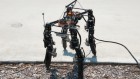A motorized leg up: this robot changes its limb length to suit the terrain