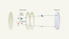 Ultracold chemical reactions reveal the quantum mechanism of product formation