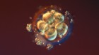 Limit on lab-grown human embryos dropped by stem-cell body