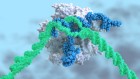 Landmark CRISPR trial shows promise against deadly disease