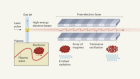 A step closer to compact X-ray lasers