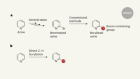 Direct installation of boron groups offers boost to medicinal chemistry