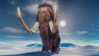 Mammoth’s epic travels preserved in tusk