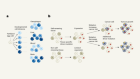 Mutation fingerprints encode cellular histories