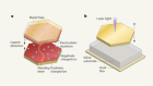 Hybrid light–matter states formed in self-assembling cavities