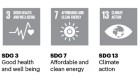 Tracking 20 leading cities’ Sustainable Development Goals research