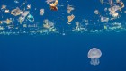 Rising tide of floating plastics spurs surge in research