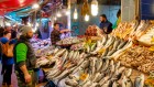 A spotlight on seafood for global human nutrition