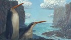 A mega-penguin stood tall on prodigious limbs