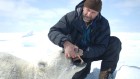 Polar bear researchers struggle for air time