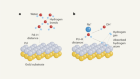 Choreographing water molecules to speed up hydrogen production