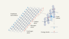 Clever substitutions reveal magnetism in zigzag graphene nanoribbons