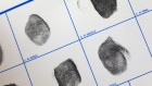 The surprising genes behind a fingerprint’s unique swirls
