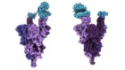 Omicron's molecular structure could help explain its global takeover