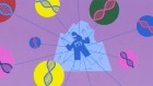 Video: Guardian of the genome