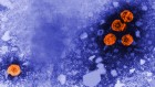 Research round-up: hepatitis B