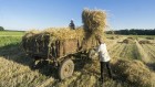 The war in Ukraine is exposing gaps in the world’s food-systems research
