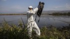 Why unprecedented bird flu outbreaks sweeping the world are concerning scientists