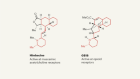 Synthesis reveals unexpected biological targets of a traditional medicine