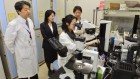 ‘I feel disposable’: Thousands of scientists’ jobs at risk in Japan