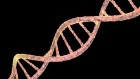 Molecular motor is ‘DNA origami’ milestone