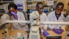 My life at the helm of a top African cancer-treatment centre