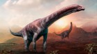 How the dinosaur got its long neck: slowly