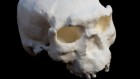 Ancient skull uncovered in China could be million-year-old Homo erectus