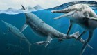 Bone bed hints at a birthing ground for marine reptiles bigger than buses